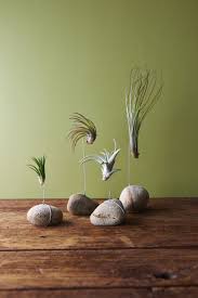 Neon macrame air plant hanging planter from etsy shop thriftedandmade. It S All About Air Mark Kintzel Design Air Plants Diy Air Plants Decor Plants