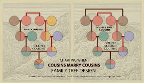 Visualizing Genealogical Relationships Double Cousins