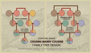 Visualizing Genealogical Relationships Double Cousins