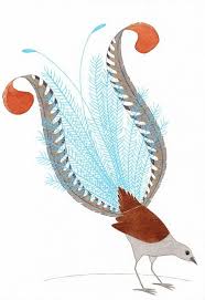 Lyrebird Art Print A4 Children Nursery Bedroom Wall Decor Australian Funny Fancy Tail Bird Drawi Art Bird Art Art Prints