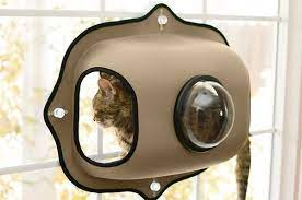 We did not find results for: 21 Things From Chewy Pet Owners Will Probably Wish They D Bought Years Ago