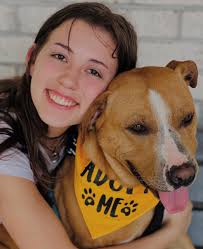 Red Heeler dog breed characteristics