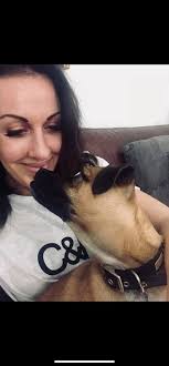 This is our darling boy Gus He is a pug x chihuahua He loves 10k walks  daily and to sleep the rest of the day in our bed He is the boss