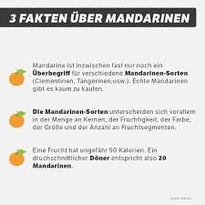 Haustiere kaufen und verkaufen mit gratis. Facebook
