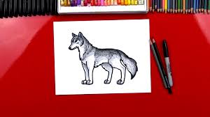 With our simple drawing tutorials, your kids can learn how to draw and colour! How To Draw A Realistic Wolf Art For Kids Hub