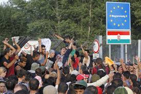 Ratko mladic was born on march 12, 1943 in kalinovik, bosnia and herzegovina. European Migrant Crisis European Migrant Crisis Know Your Meme