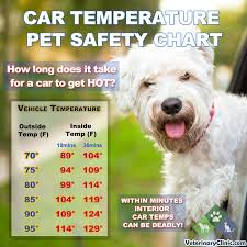 car temperature pet safety chart pdf veterinaryclinic com