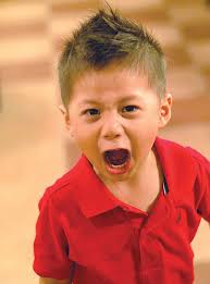 Image result for Angry Behavior