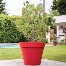 Cornouiller doré à bois rouge, noisetier, cotoneaster à baies orange. Quel Materiau Faut Il Choisir Pour Ses Bacs Et Pots A Fleurs Greenastic