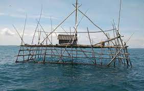 Hasil tangkapan ikan pari dengan rawai dasar di cirebon nurdin & hufiadi (2006) menyatakan bahwa jaring liongbun dan pancing senggol merupakan alat tangkap utama bagi ikan pari di laut jawa. Mengenal Bagan Apung Alat Tangkap Ikan Yang Ramah Lingkungan Bangsa Online Cepat Lugas Dan Akurat