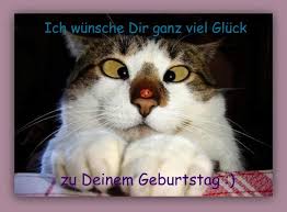 Ein geburtstag ist ein besonderer anlass für den zelebranten. Zu Deinem Geburtstag Susse Tiere Lustige Tiere Katze Lustig