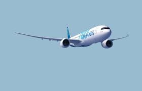 Cactus plants or cactus plant parts. A330 900 A330 Family Airbus