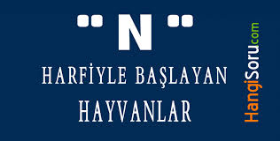 N Ile Baslayan Hayvan Isimleri N Harfiyle Baslayan Hayvanlar Hangisoru Com