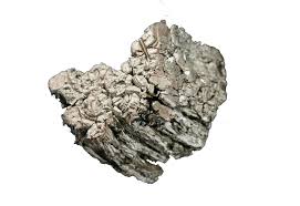 Image result for Smodingium