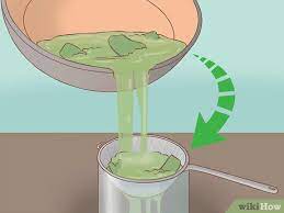 Contents may be liquid, paste or dry. 3 Ways To Extract Cactus Juice Wikihow