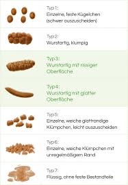 This site provides total 1 english word for weicher stuhl. Stuhlformen Laxbene