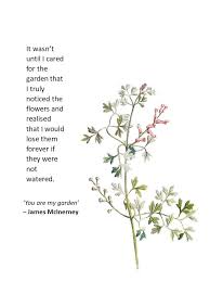 You Are My Garden James Mcinerney Poet And Author Of Bloom In Between The Lines And Red Availabl Wonder Quotes Poetry Motivational Quotes For Life
