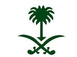 saudi symbol lily flower seeds lily flower bonsai flower