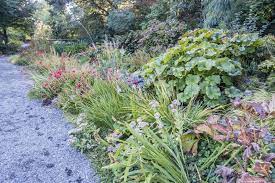 Our guide to climate zones for gardening in the west. Zone 8 Gardening Tips Plants That Grow Well In Zone 8