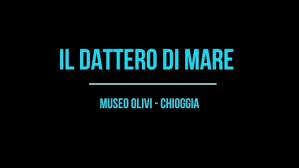 Imbarcazione cola a picco davanti ai faraglioni, paura per un gruppo di 5 persone. Scopriamo I Ricci Di Mare Mediaspace Universita Degli Studi Di Padova