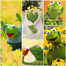 Your canvas awaits with the art studio aesthetic. Kermit The Frog Aesthetic 1024x1024 Wallpaper Teahub Io