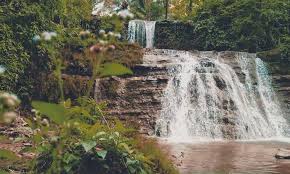 Lokasi wisata alam ini berada di kecamatan ayah, kabupaten kebumen, jawa tengah. 35 Tempat Wisata Di Kebumen Terbaru Terhits Dikunjungi Java Travel