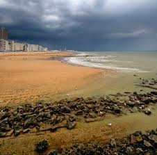 Every game played in the belgium first division a is available on bet365, and is. Mowen In Oostende Foto Von Mowen Am Strand Und Es Gibt Ein Schiff Auf Den Hintergrund Belgien Lizenzfreie Fotos Bilder Und Stock Fotografie Image 42665175