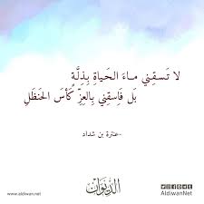 أشعار عن عنترة بن شداد. Ø§Ù„Ø¯ÙŠÙˆØ§Ù† Ù…ÙˆØ³ÙˆØ¹Ø© Ø§Ù„Ø´Ø¹Ø± Ø§Ù„Ø¹Ø±Ø¨ÙŠ Ø§Ù‚ØªØ¨Ø§Ø³Ø§Øª Ù„Ø¹Ù†ØªØ±Ø© Ø¨Ù† Ø´Ø¯Ø§Ø¯ Quotes Arabic Quotes Poetry