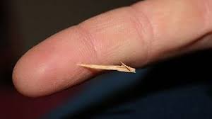 Splinters Can Hurt So Bad That They Seem To Take The Life Out Of You Check Out These Amazing Essential Are Essential Oils Safe Splinter Removal Essential Oils