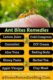 You will be surprised when knowing that not only is toothpaste useful for cleaning the teeth, but it also is effective in treating insect bites 1. Pin On Home Remedies