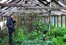 Determine location of wet wall. Greenhouse Wikipedia