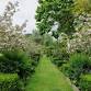 Transforming Outdoor Spaces: A Landscape Tour event image
