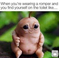 Pin On Funny