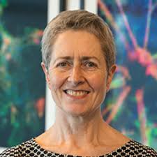 Anne Kelso's Instagram, Twitter & Facebook