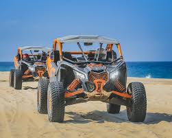Encuentra el mejor precio en renta de autos en payless méxico. 1001 Nights Review Of Cactus Tours Cabo San Lucas Mexico Tripadvisor