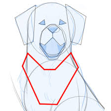 It's never strongly suggested that you do anything. How To Draw Dogs Art Rocket