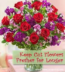 Maybe you would like to learn more about one of these? How To Keep Flowers Fresh Longer