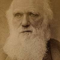 A G Darwin' made by Strong Locomotives, 1888