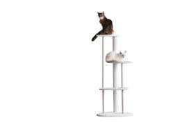Karimoku Cat Tree If World Design Guide