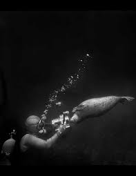 The Journal of Diving History