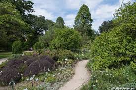 200 mm (halbwüste) pro jahr (köln: Botanischer Garten Flora In Koln