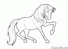 Stallions, mares, colts and more horse coloring pages and sheets to color. Coloring Page Rocking Horse