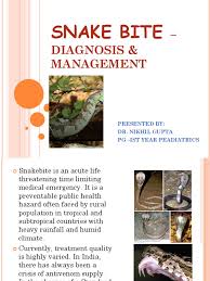 The most common symptoms of all snakebites are Snake Bite Ppt 1 Intravenous Therapy Diseases And Disorders