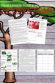 Teachers Are You Looking For An Engaging Lesson Plan To Introduce Ecosystems To Your 3rd 4th Or 5t Ecosystems Lessons Free Lesson Plans Printables Ecosystems