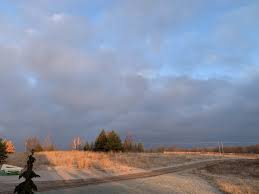 Profile for Reid Thorpe Fine Art Studio