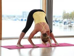 Standing Wide Legged Forward Bend Pose Prasarita Padottanasana Forward Bends Yoga Poses All Yoga Poses Yoga Poses Professional Yoga