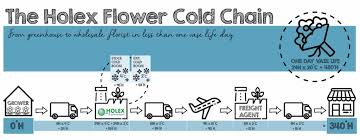 Maybe you would like to learn more about one of these? Holex Flower Floral Pioneer In The Land Of Degree Hours Perishable News