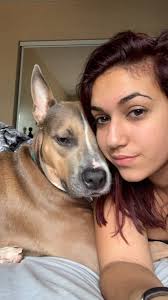 My boy Melo. This pic was taken at the shelter