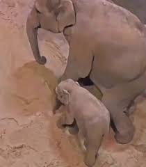 @Arteymas_'s video Tweet