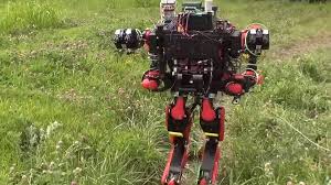 Here are a list of ten fun robotic projects for kids. Google S Alphabet Gives Up On Rescue Robots Bbc News